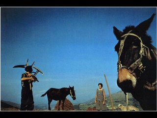 Anne Kirkpatrick - Showman's Daughter