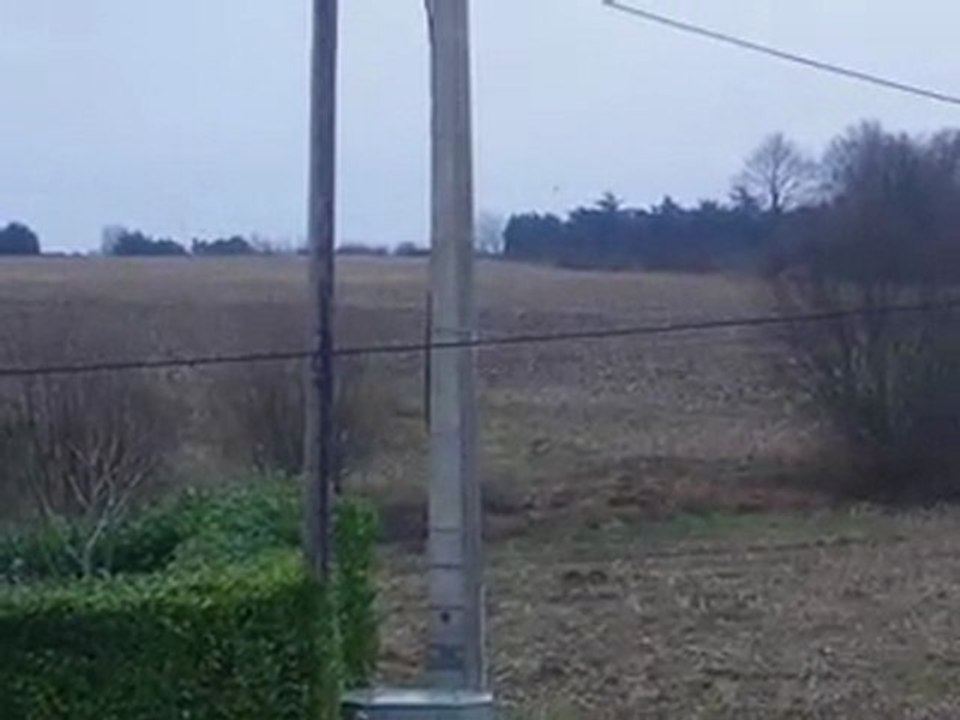 envol d'etourneaux at the Épinettes