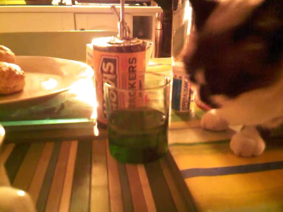 cocolotte