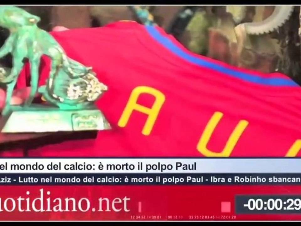 Tg Quotidiano.net (Lutto nel mondo del calcio: è morto il polpo Paul)