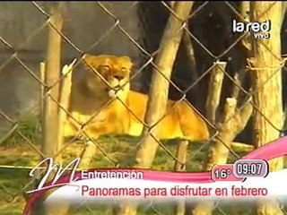 9feb-datos