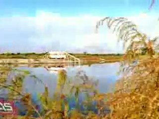 Parks Bonifay Documentary