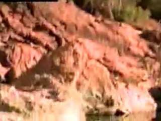 Crazy Cliff Divers