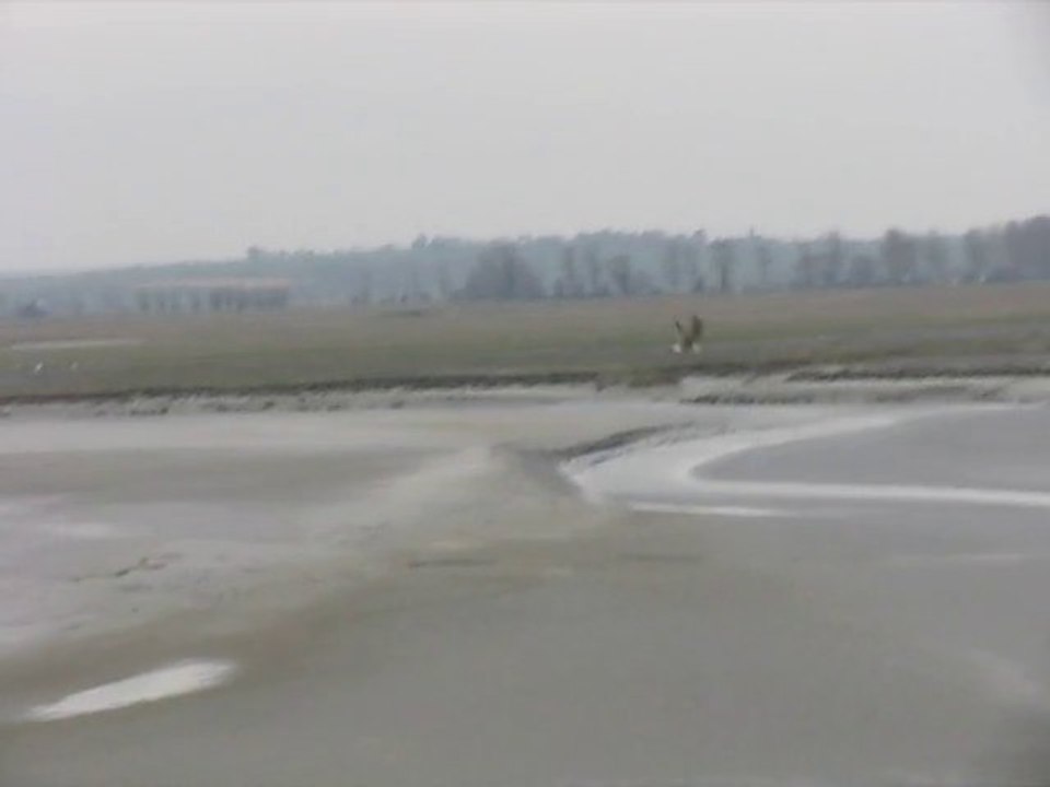Mont Saint Michel - entre la mer et le ciel