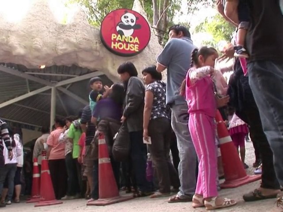 La Thaïlande en pince pour son bébé panda, star de télé-réalité