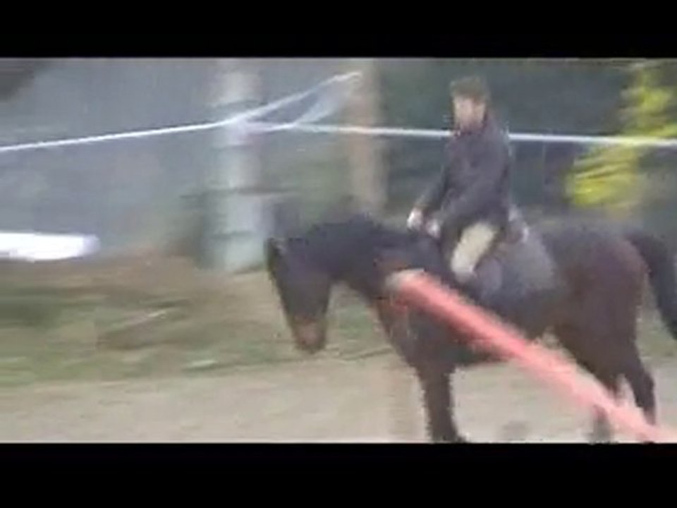 Ecuries du Nevez Monvalent