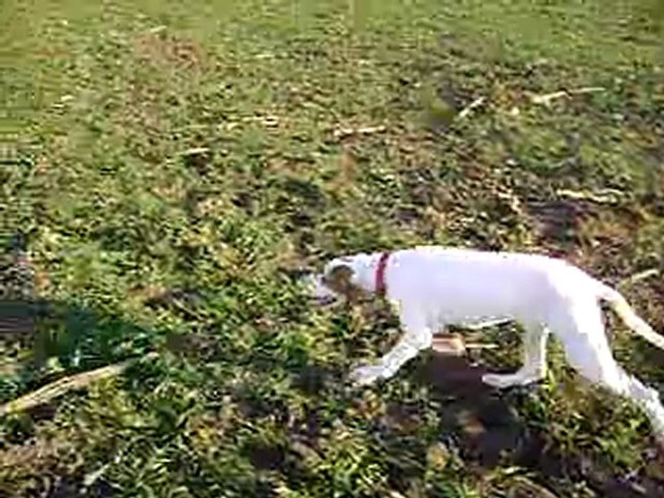 MOV01635