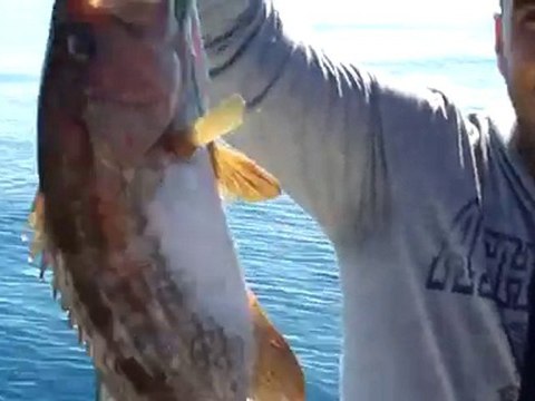 Alanya jigging şeytan avı 1.2 kg Batuhan ustamızın videosu