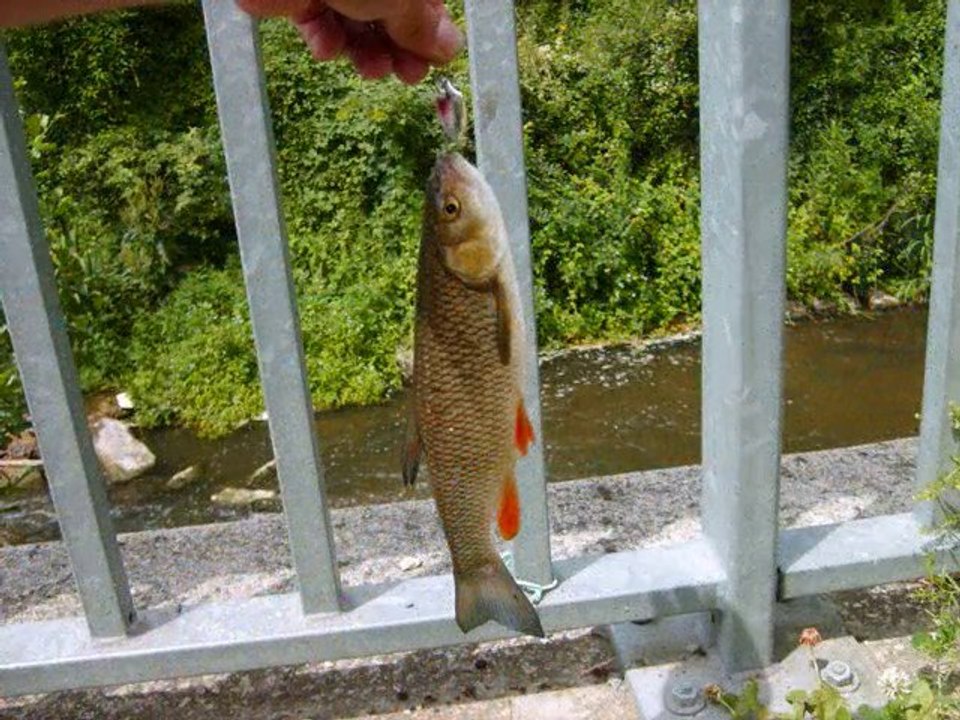 Team Brocanja retro 2010.(peche aux leurres,Brochets,Sandre)