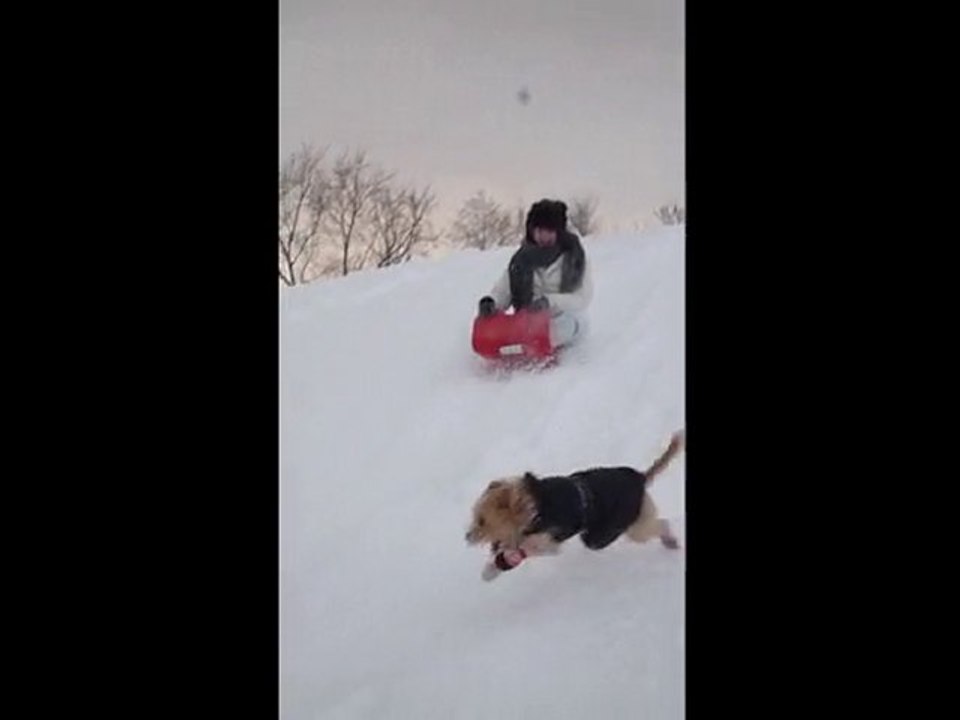 La descente à Montréal