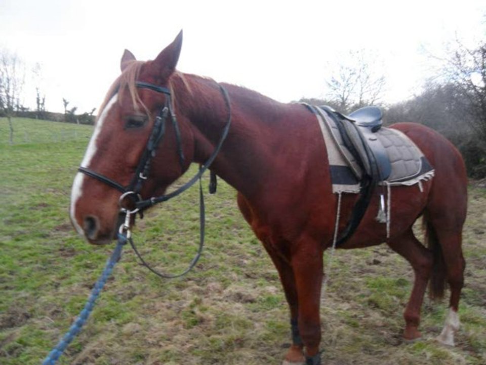 mercredi 15DECEMBRE 2010