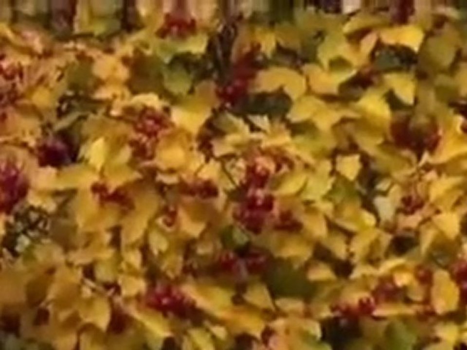 Murcianos por el mundo Trondheim 2.00