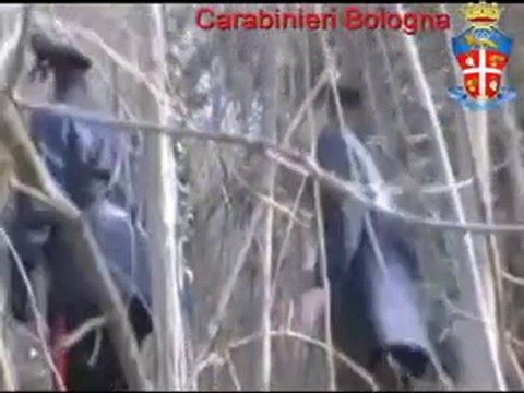 Ricerche scomparso ritrovato cadavere sui colli di bologna