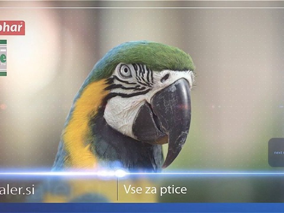 // Aler d.o.o. // Pasje novice Dodatek Priboljški za pse psa