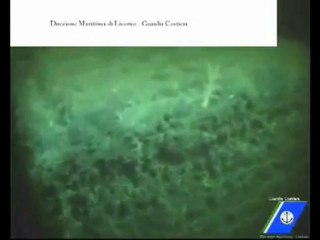 Il mistero delle navi dei veleni