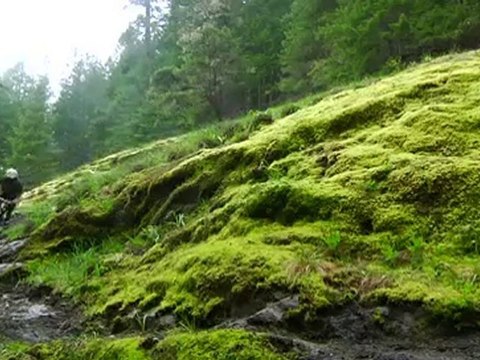 Norco Bikes - Hoots Riding On A Very Wet Sunshine Coast
