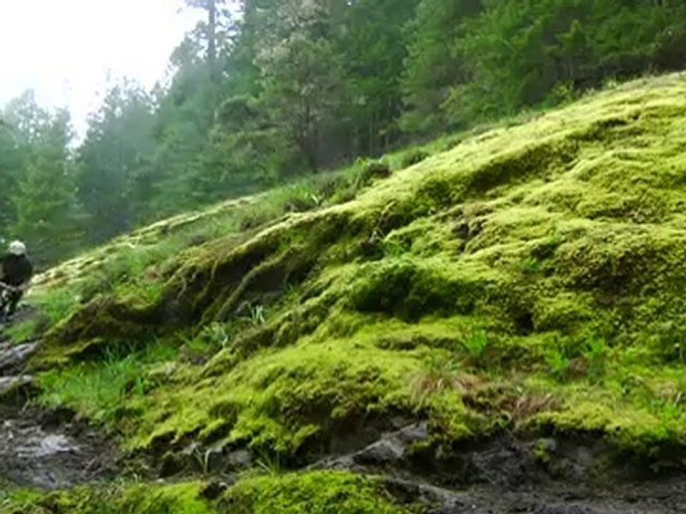 Norco Bikes - Hoots Riding On A Very Wet Sunshine Coast