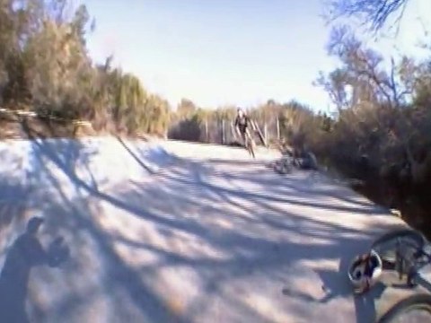 Chronic Cycles - January 2011 Edit