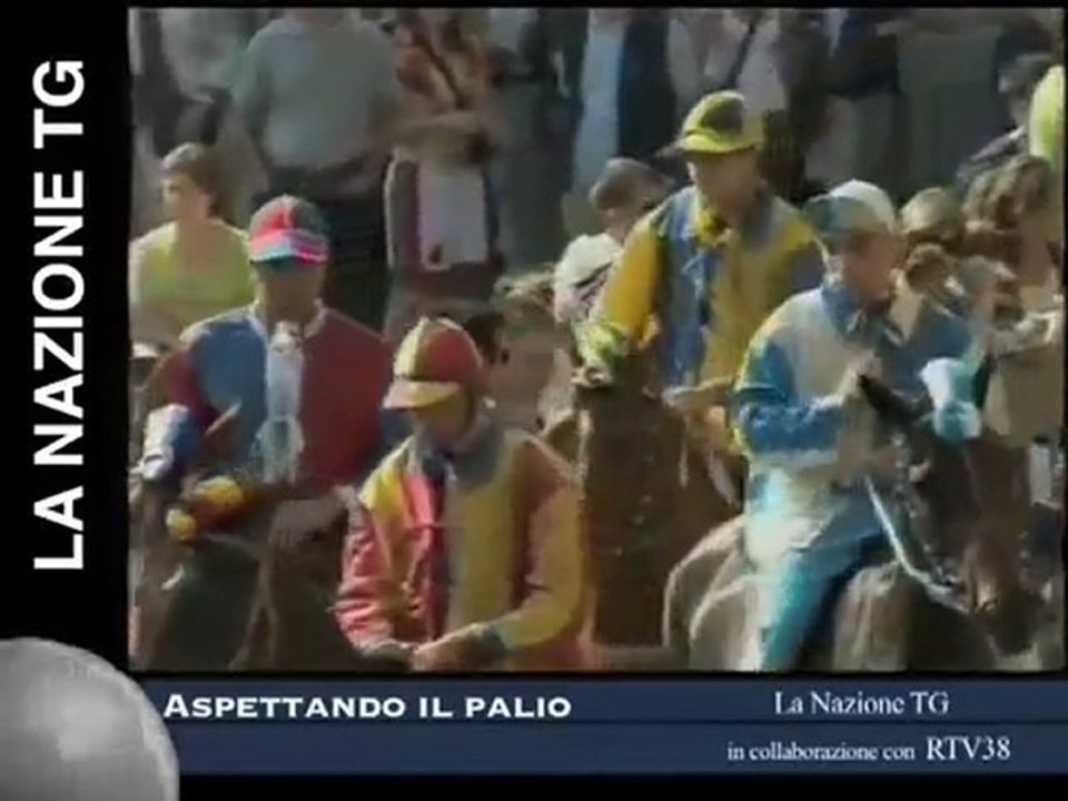 La Nazione TG