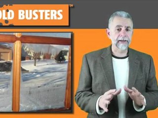 Stachybotrys is the - toxic black mold