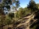 Canberra Australia - 3 Mt Stromlo Single MTB Singletrack Helmet Cam - Rollercoaster/Skyline/Luge alt. route