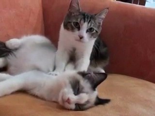 たみちゃんのマッサージ！！！