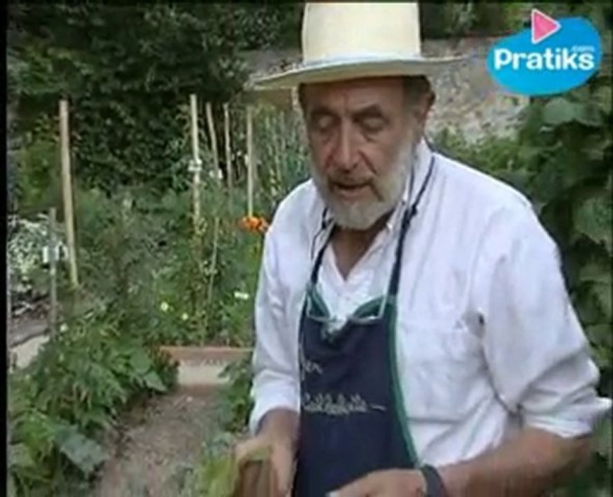 Comment detecter une carence de Magnesium d'une plante