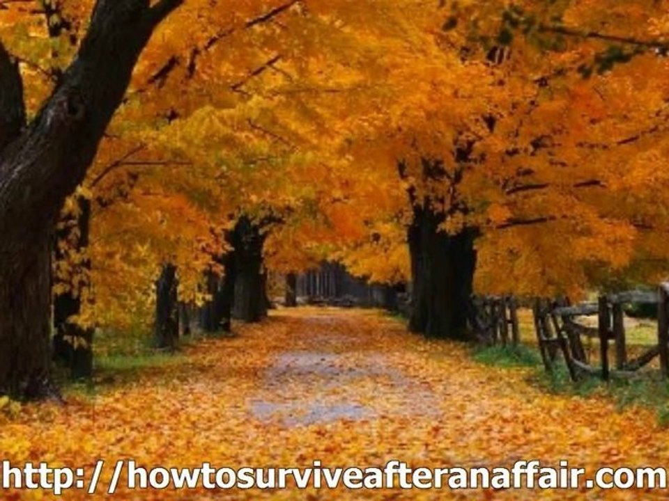 surviving his affair