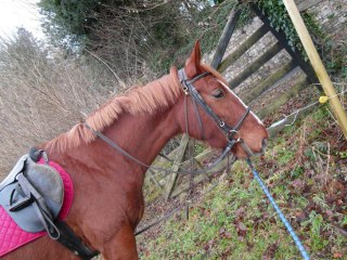 MARDI 8FEVRIER 2011 DEBUT D APRES MIDI 14H15 A 15H30 DANS LA