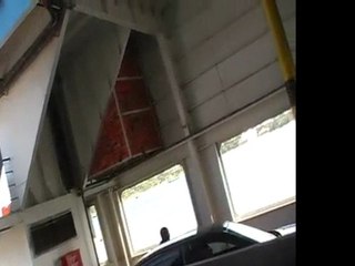 Deep Sea Pet Center'ın Afrika Tanzanyadan video görüntüleri