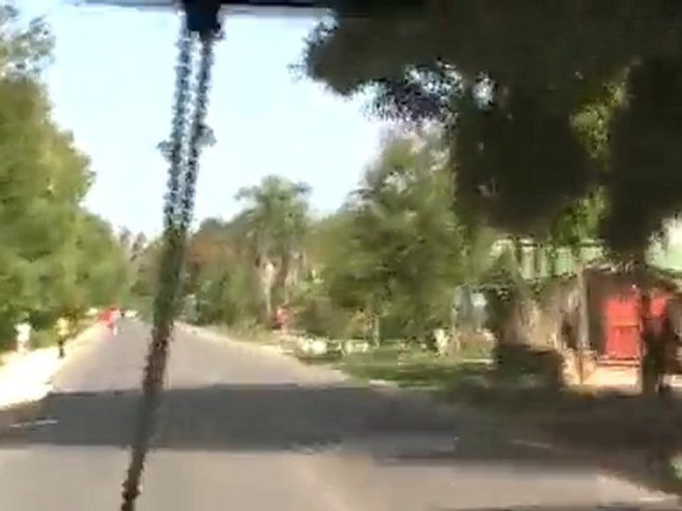 Deep Sea Pet Center'ın Afrika Tanzanyadan video görüntüleri