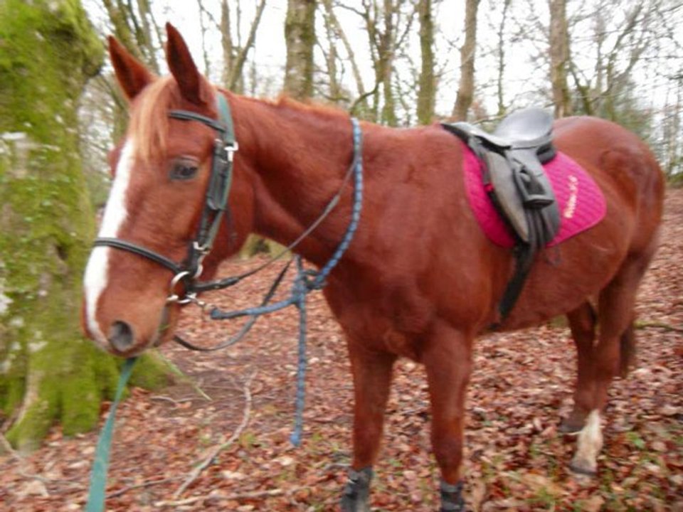 mercredi 9FEVRIER 2011