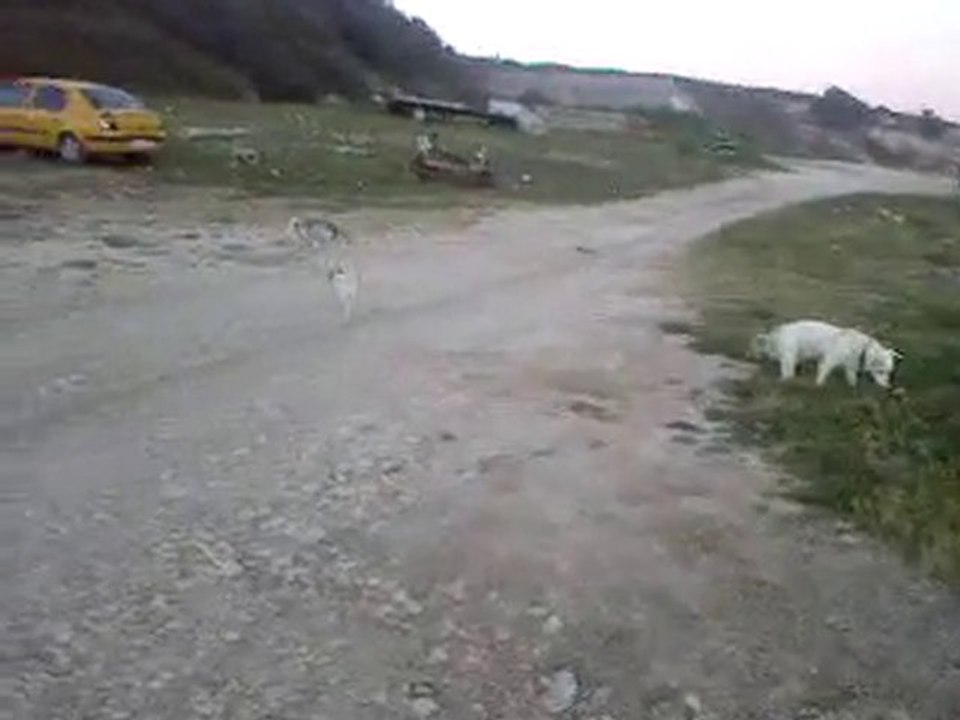 Video-0035