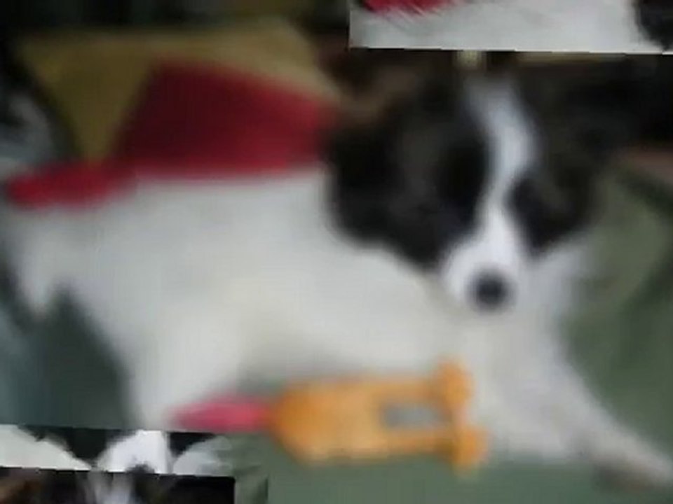 moi Evidence et mes parties de jeux