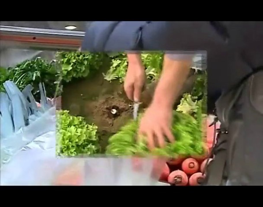 Reportage Cerise et Potiron