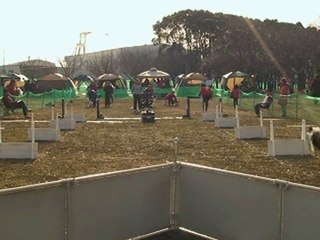 20110123　JFPS千葉ポートパーク（1）