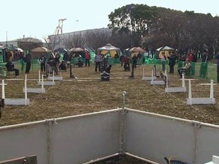 20110123　JFPS千葉ポートパーク（2）