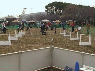 20110123　JFPS千葉ポートパーク（4）