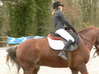 Eugénie sur Falco- 06.02.11 dressage Laval