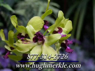 Homes for Sale in Stone Harbor and Avalon - New Jersey Shore