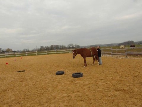 Just - reculé par aspiration- février 2011