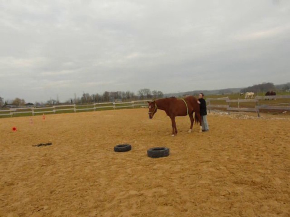 Just - reculé par aspiration- février 2011