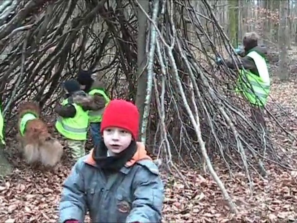 En foret