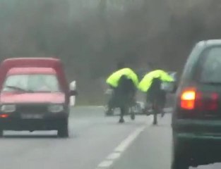 Deux chevaux fous entre Nouzonville et Bogny