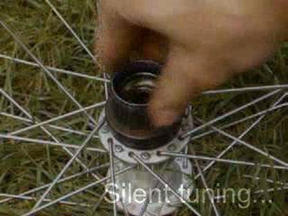 Silent-tuning