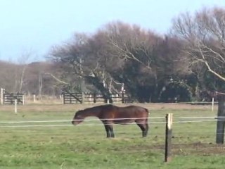 TRUE ADVENTURES ET SISSI DU MEXIQUE EN PISTE