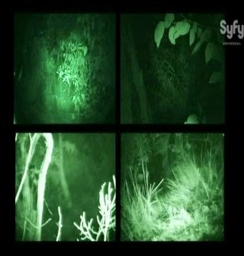 Destination vérité [Le Yowie / La mosquée hantée] (2)