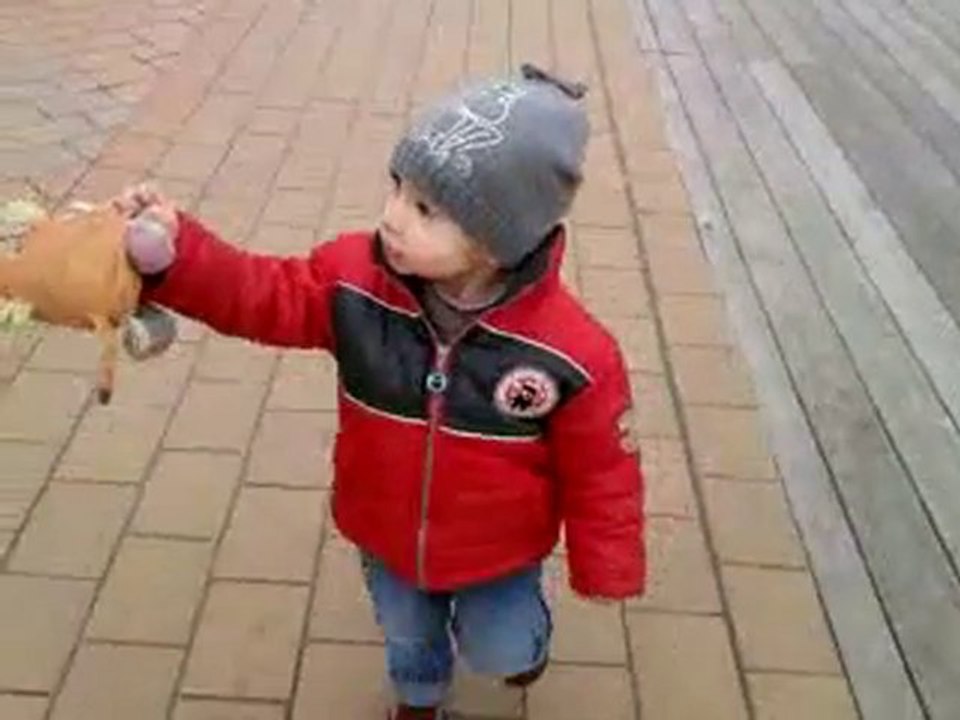Vidéo0010