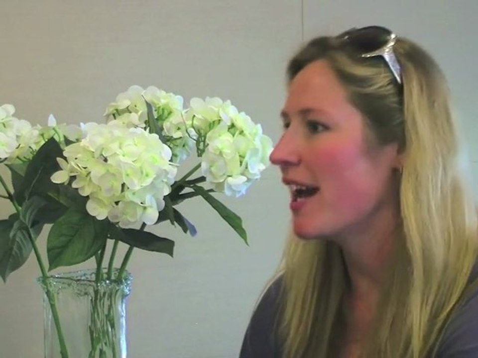 Interview of Danae Ringelmann - Indiegogo