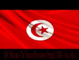 M.R. Mellouki - The Tunisian Revolution 2011